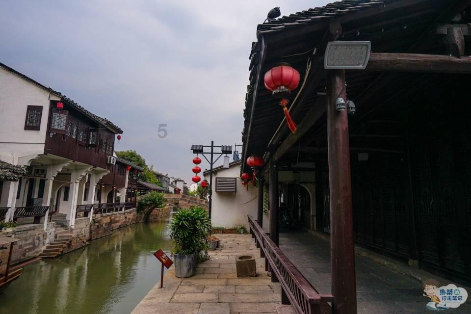 斩草除根，求解生肖游戏画面